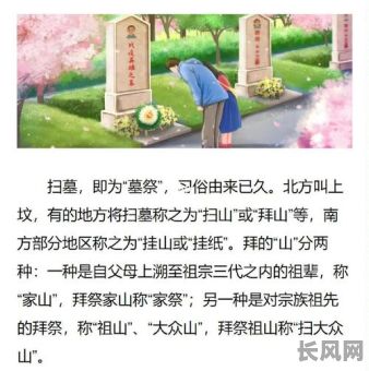 扫坟墓哪天吉日（扫墓哪天最好）