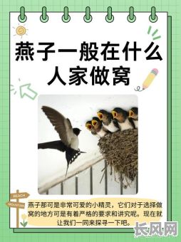 燕子安家选择吉日_燕子安家什么寓意