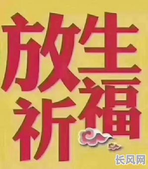 正月十三放生吉日_正月初几放生