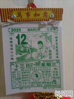 2025年吉日砍树动土/2021年适合砍树的日子