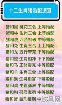 男兔女猪结婚吉日，男兔女猪结婚吉日查询