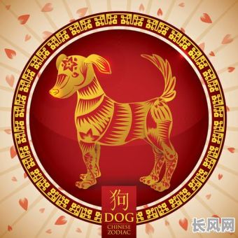 冲狗属狗的出行不吉日吗_属狗的在冲狗的日子搬家行吗