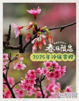 冲绳黄历吉日2025_冲绳百科