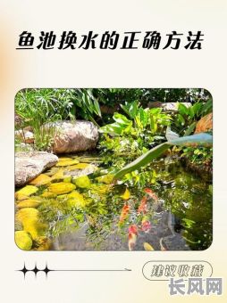 2025年挖鱼塘吉日，挖鱼塘有什么讲究