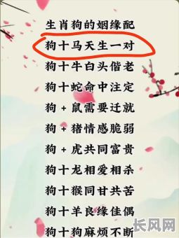 属狗女孩婚嫁吉日/属狗女最适合结婚的属相