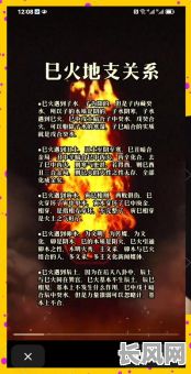 李中佑吉日癸巳之记，李居明论八字癸巳日柱