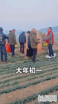 大年初一上坟是吉日吗吗/大年初一上坟是啥意思