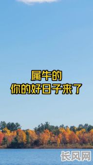 属牛人出行吉日/属牛人什么日子出门好