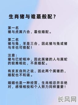 猪和鼠在虎年结婚的吉日，鼠猪和鼠虎配吗