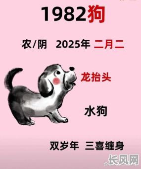 属狗农历冬月搬家吉日，属狗公历2020年12月搬家吉日
