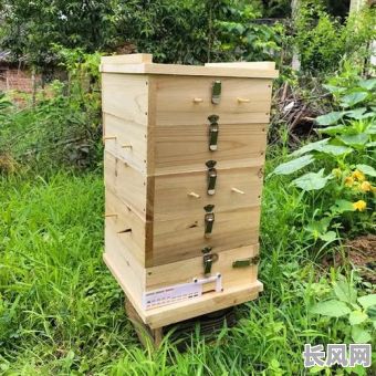 2025搬蜂吉日-放蜂箱黄道吉日