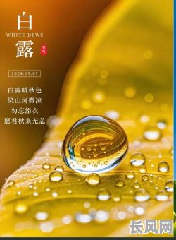 白露是否是吉日（白露哪一天）