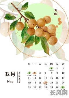 黄历吉日2025年5月/2025年5月日历表