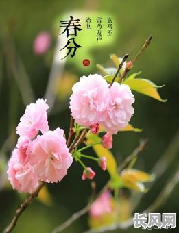 2025春分是不是吉日-221年春分