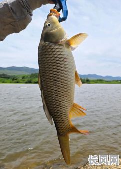 5月份捕捉吉日/五月份什么时候适合钓鱼