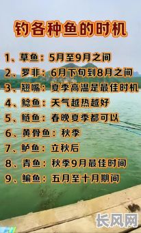 11月捕鱼吉日/十一月鱼好不好钓