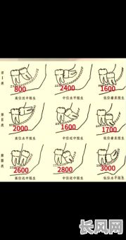 拔牙的吉日2025_拔牙选日子