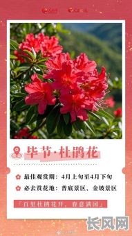 2025正月栽种吉日，正月适合种花吗