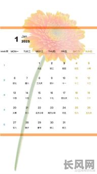 日历2025日吉日（2025日历带农历表）