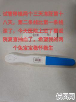 试管婴儿移植黄道吉日_试管移植日期