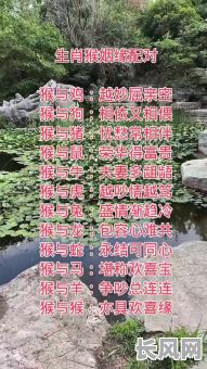 属猴兔年结婚吉日-属兔和属猴2021年几月结婚好