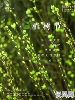 2025栽树吉日/2021年适合种树的日子