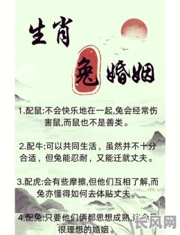 男猪女兔入宅吉日大全-男猪女兔婚配合适吗