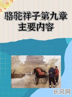 骆驼祥子结婚吉日-骆驼祥子娶了谁