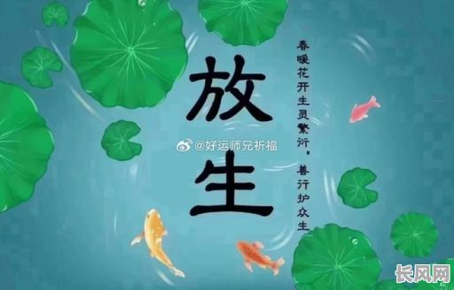 放生吉日慈心网（放生黄道吉日禁忌查询）