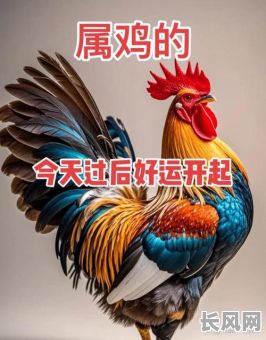 属鸡的人最近出门吉日（2021年属鸡出行吉日）