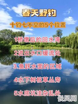 钓鱼如何选吉日_钓鱼如何选吉日和时间